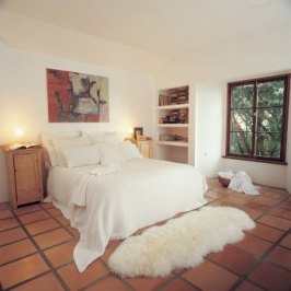 Click here to View our Sheepskin Rugs!